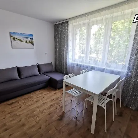 Dm Koscielna 54